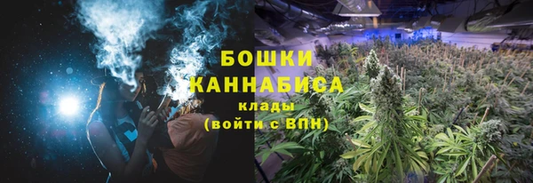 стафф Сафоново