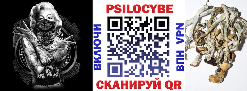 продажа наркотиков  Мариинск  Псилоцибиновые грибы прущие грибы 